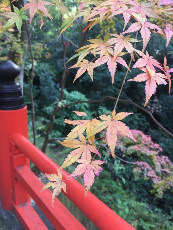 Kyo-Anthu Inn Kyoto Exterior photo